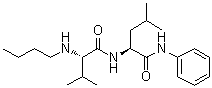 N-Butyl-L-valyl-N-phenyl-L-leucinamide molecular structure (CAS 282729-30-0)