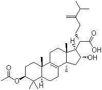 Pachymic acid molecular structure (CAS 29070-92-6)