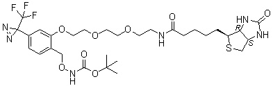 [[2-[2-[2-[2-[[5-[(3aS,4S,6aR)-Hexahydro-2-oxo-1H-thieno[3,4-d]imidazol-4-yl]-1-oxopentyl]amino]ethoxy]ethoxy]ethoxy]-4-[3-(trifluoromethyl)-3H-diazirin-3-yl]phenyl]methoxy]carbamic acid 1,1-dimethylethyl ester molecular structure (CAS 299931-19-4)