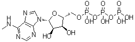 N6-Monomethyladenosine 5'-triphosphate molecular structure (CAS 3130-39-0)