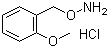 O-[(2-Methoxyphenyl)methyl]hydroxylamine hydrochloride molecular structure (CAS 317821-72-0)