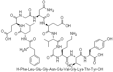 L-Phenylalanyl-L-leucyl-L-alpha-glutamylglycyl-L-asparaginyl-L-alpha-glutamyl-L-valylglycyl-L-lysyl-L-threonyl-L-tyrosine molecular structure (CAS 335440-38-5)