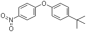 4-硝基-4'-叔丁基二苯醚分子结构 (CAS 34859-82-0)