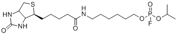 Isopropyl (6-(5-((4S)-2-oxohexahydro-1H-thieno[3,4-d]imidazol-4-yl)pentanamido)hexyl) phosphorofluoridate molecular structure (CAS 353754-93-5)