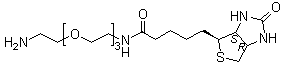 (+)-生物素基 3,6,9-三氧杂十一碳二胺分子结构 (CAS 359860-27-8)