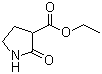 2-羰基吡咯烷-3-羧酸乙酯分子结构 (CAS 36821-26-8)