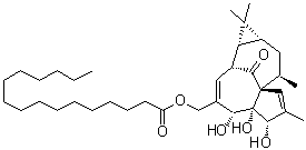 Ingenol-20-palmitate molecular structure (CAS 39071-33-5)