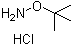 O-tert-Butylhydroxylamine hydrochloride molecular structure (CAS 39684-28-1)