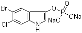 5-Bromo-6-chloro-1H-Indol-3-ol dihydrogen phosphate (ester) disodium salt molecular structure (CAS 404366-59-2)