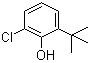 2-叔丁基-6-氯苯酚分子结构 (CAS 4237-37-0)