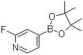 2-氟吡啶-4-硼酸频哪醇酯分子结构 (CAS 458532-86-0)