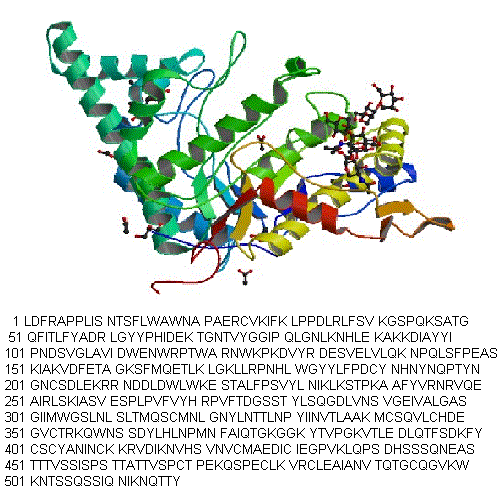 Hyaluronidase (sheep testis isoenzyme) molecular structure (CAS 488712-31-8)