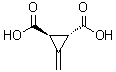 structure of CAS# 499-02-5, Feist's acid;3-Methylenecyclopropane-trans-1,2-dicarboxylic acid; trans-3-Methylenecyclopropane-1,2-dicarboxylic acid