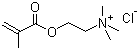 Methacrylatoethyl trimethyl ammonium chloride  molecular structure (CAS 5039-78-1)