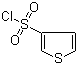 结构式 CAS# 51175-71-4, 3-噻吩磺酰氯
