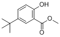 Methyl 5-tert-butyl-2-hydroxybenzoate molecular structure (CAS 52888-72-9)