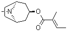Tropyl 2,3-dimethylacrylate molecular structure (CAS 533-08-4)