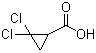 2,2-Dichlorocyclopropane-1-carboxylic acid molecular structure (CAS 5365-14-0)