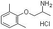 盐酸美西律分子结构 (CAS 5370-01-4)