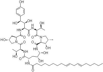Echinocandin B molecular structure (CAS 54651-05-7)
