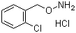 structure of CAS# 5555-48-6, O-(2-Chlorobenzyl)hydroxylamine hydrochloride;1-[(Aminooxy)methyl]-2-chlorobenzene hydrochloride