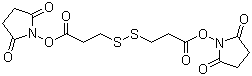 3,3'-Dithiodipropionic acid di(N-hydroxysuccinimide ester) molecular structure (CAS 57757-57-0)
