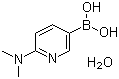 2-(Dimethylamino)pyridine-5-boronic acid hydrate molecular structure (CAS 579525-46-5)