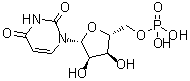5'-Uridylic acid molecular structure (CAS 58-97-9)