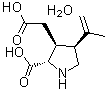 [2S-(2alpha,3beta,4beta)]-2-羧基-4-(1-甲基乙烯基)-3-吡咯烷乙酸一水合物分子结构 (CAS 58002-62-3)