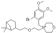 Pinaverium molecular structure (CAS 59995-65-2)
