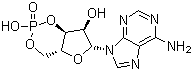 structure of CAS# 60-92-4, Cyclic AMP;3'-5' Cyclic adenosine monophosphate
