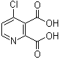 4-Chloropyridine-2,3-dicarboxylic acid molecular structure (CAS 605661-85-6)