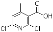 2,6-Dichloro-4-methyl-3-pyridinecarboxylic acid molecular structure (CAS 62774-90-7)