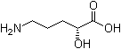 (R)-5-Amino-2-hydroxypentanoic acid molecular structure (CAS 63316-29-0)