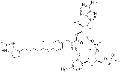 2'-Deoxy-5'-O-phosphonocytidylyl-(3'→5')-adenosine 3'-(4-[[5-[(3aS,4S,6aR)-hexahydro-2-oxo-1H-thieno[3,4-d]imidazol-4-yl]-1-oxopentyl]amino]-L-Phenylalaninate) molecular structure (CAS 651329-56-5)