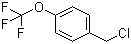 4-(Trifluoromethoxy)benzyl chloride molecular structure (CAS 65796-00-1)