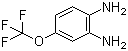 结构式 CAS# 658-89-9, 4-(三氟甲氧基)苯-1,2-二胺