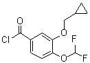 3-(Cyclopropylmethoxy)-4-(difluoromethoxy)benzoyl chloride molecular structure (CAS 672883-68-0)