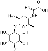 Kasugamycin molecular structure (CAS 6980-18-3)