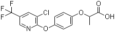结构式 CAS# 69806-34-4, 吡氟氯禾灵; 2[4-(3-氯-5-三氟甲基-2-吡啶氧基)苯氧基]丙酸