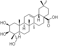 Bayogenin molecular structure (CAS 6989-24-8)