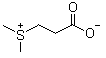 硫代甜菜碱分子结构 (CAS 7314-30-9)