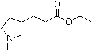 3-Pyrrolidinepropanoic acid ethyl ester molecular structure (CAS 748797-09-3)