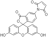 荧光素 5-马来酰亚胺分子结构 (CAS 75350-46-8)
