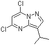 structure of CAS# 771510-32-8, 5,7-Dichloro-3-(1-methylethyl)pyrazolo[1,5-a]pyrimidine