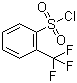 2-三氟甲基苯磺酰氯分子结构 (CAS 776-04-5)