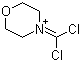 4-(二氯亚甲基)吗啉鎓分子结构 (CAS 790600-30-5)