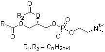 卵磷脂分子结构 (CAS 8002-43-5)