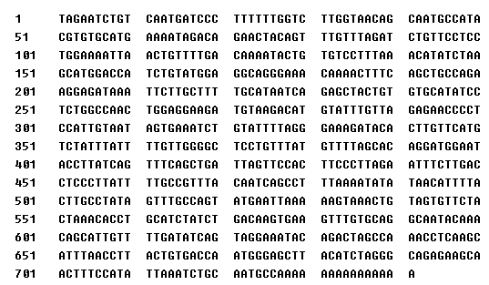 GenBank CX329251 molecular structure (CAS 811661-17-3)