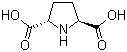 (2S,5S)-吡咯烷-2,5-二羧酸分子结构 (CAS 81702-31-0)